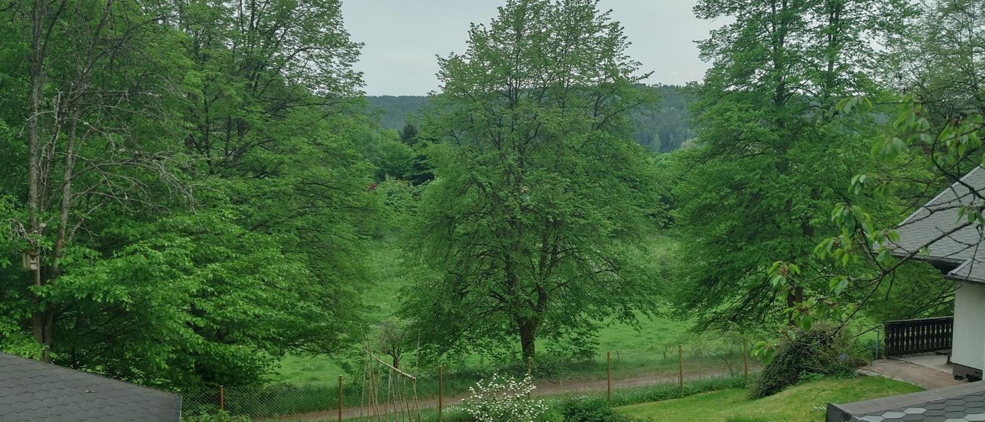 Sessles Waldhaeusschen Dietzhausen Suhl Exterior photo